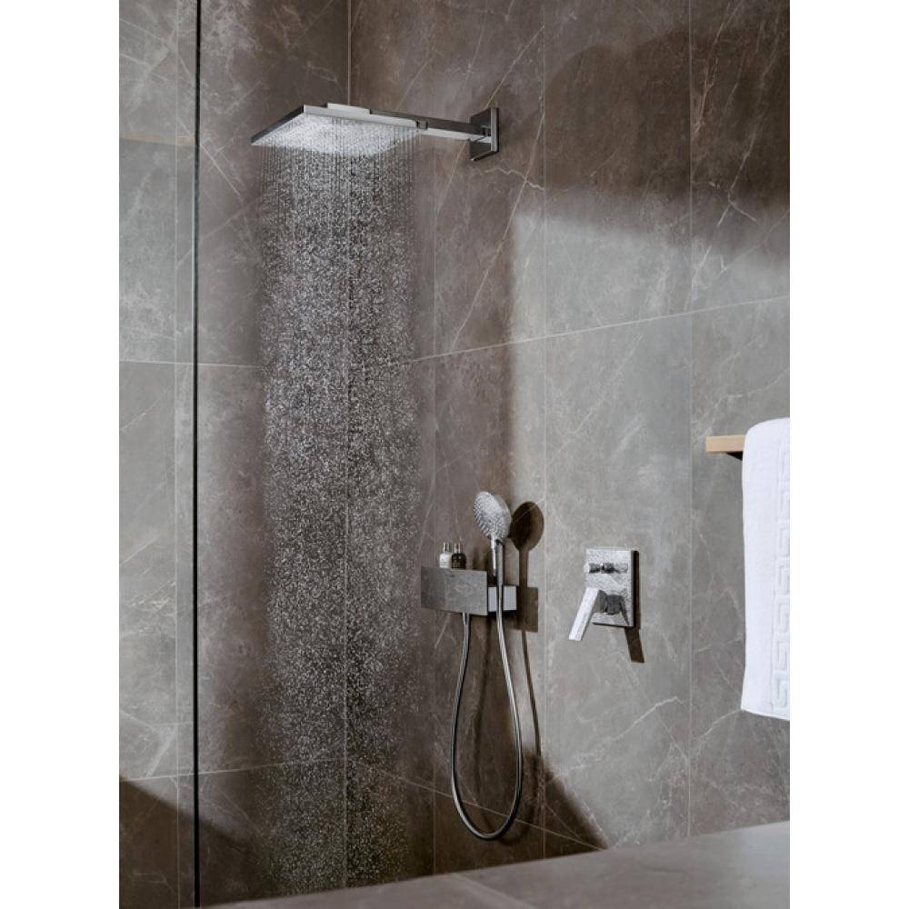 ✔️Верхний душ Hansgrohe Raindance E 26238000  купить за 316 900 тенге в Казахстане г. Астане, Алмате, Караганде