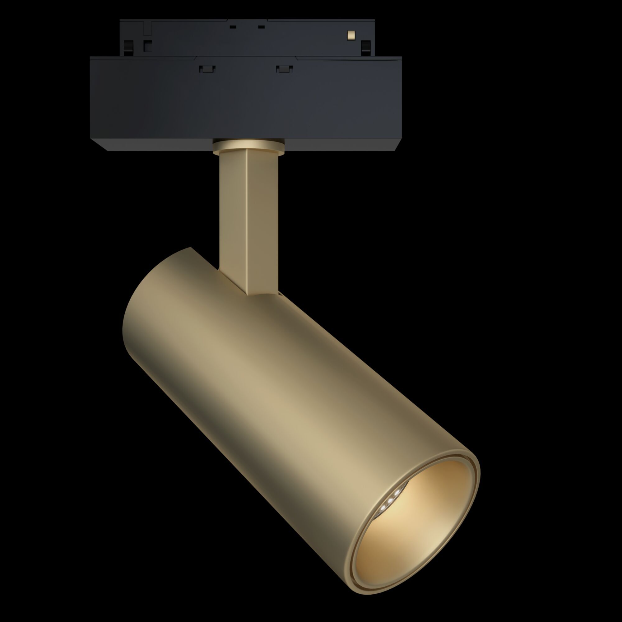 ✔️Трековый светильник Maytoni Focus LED  TR019-2-15W4K-MG купить за  в Казахстане г. Астане, Алмате, Караганде